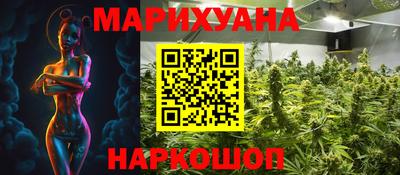 крисы Севастополь