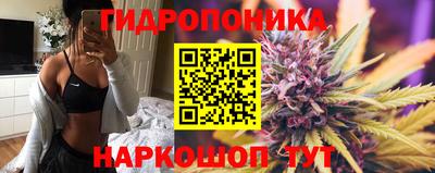 хмурый Свободный