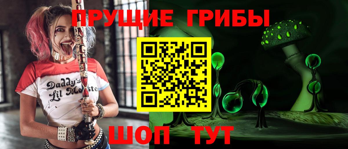 Псилоцибиновые грибы GOLDEN TEACHER  Галлюциногенные грибы Magic Shrooms  Острогожск  Вход с VPN 